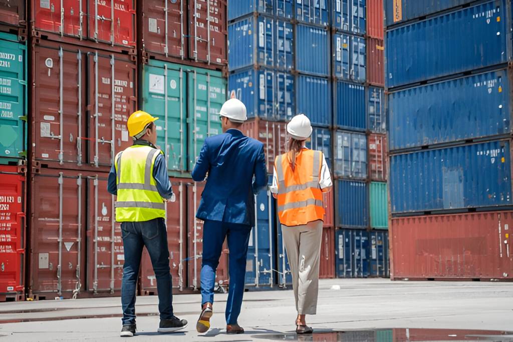 Logistics consultant